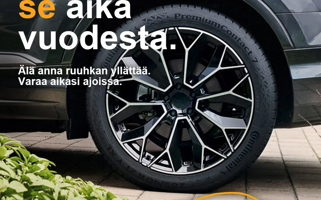 Kesärenkaiden valintaopas