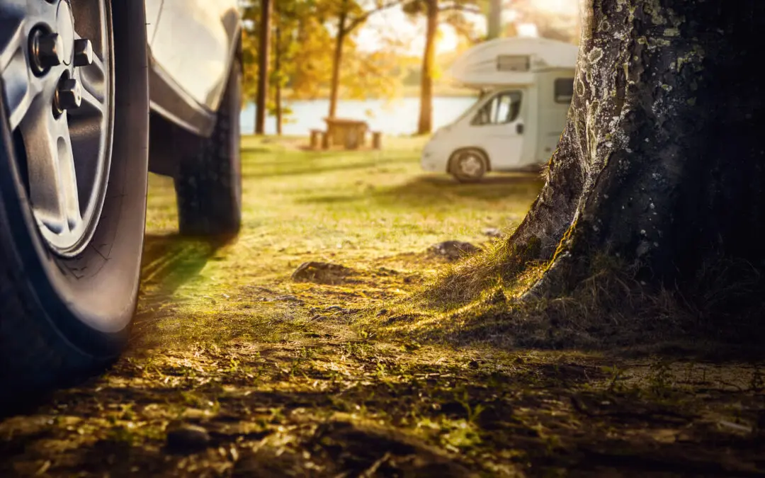 Kesärenkaiden valintaopas 2025